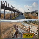 보전간척지 | 남파랑길 83, 84코스 (장흥&amp;강진 구간)