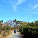 옥류천이야기길(동축사길) 이미지