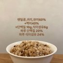 고미태 | 망원 맛집 고미태 내돈내산 실망한 솔직후기