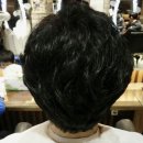 박찬순헤어