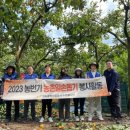 청도공영사업공사 소망봉사단, 수확기 맞아 일손돕기 봉사활동 실시 이미지