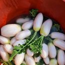 산청요양병원 이미지
