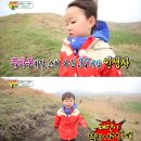 대한고기만세 이미지