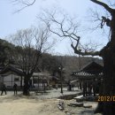 세종대왕자 태실 티스토리