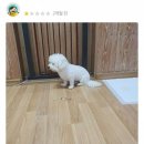 인성