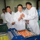 지사농장 이미지