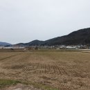 남해-283 네이버블로그