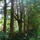 하례2리농촌체험휴양마을 이미지