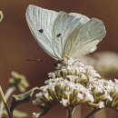 참살이한식뷔페 이미지