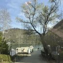 리드글램핑 | 남양주 더드림핑 애견동반 글램핑 내돈내산 후기｜강아지와 당일치기 힐링