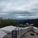 선택적 휴머니즘.. 이미지