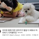 같이 이미지