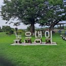 댕이네감자탕