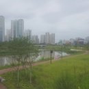 망월천_호수공원4 이미지