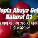 감탄커피 - 강남구 테헤란로 522 | 감탄커피