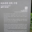 미조상록수림 네이버블로그