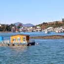 대도유료낚시터 이미지