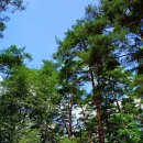 솔섬오토캠핑장 이미지