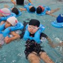 장수푸른어린이집 이미지