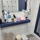 슈가복싱 프리미엄 이미지