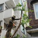 경북대학교 정문 이미지