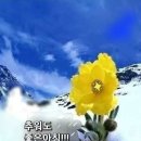 안녕포차 이미지