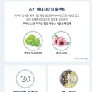 뉴세월따라 이미지