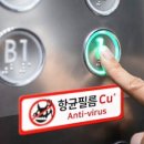 이고필름 이미지