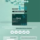 에이스원 Daum카페