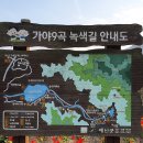 가야-9 이미지