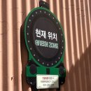 태현공원 | 자발적으로 간 인생 첫 놀이공원, 에버랜드