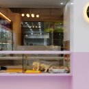 도그아트켄넬 이미지