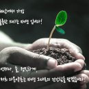 다온약초 이미지