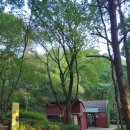 은판나비화장실 이미지