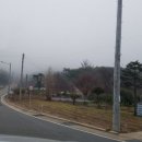 오산시술원 이미지