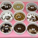 퍼피글랫 이미지