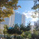 유한회사서창
