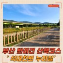 4호선 석대역 | 반여동 강아지 산책하기 좋은 &#39;석대천변 누리길&#39; 후기!