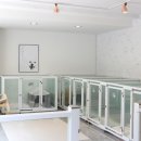 화이트펫# 이미지