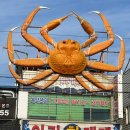 아라회대게 이미지