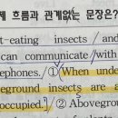 질문드립니다 이미지