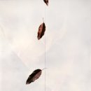 공립인제내설악미술관 이미지