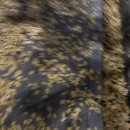 (주)빅픽처팀 | 벌써 질린 겨울 옷