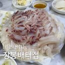 [인천/용현] 인하대 자연산 횟집 재재재방문 장봉배터집 ( 참돔, 아나고회, 방어 )