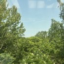 압구정로데오미용실 하츠도산, 김희정 실장 클리닉 받고 느낀 진짜 변화