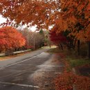 보령성주우체국 | 가볼만한 곳 보령 수원지