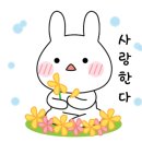 아르떼피아노 이미지