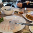 🐟 광주 상무지구 횟집 &#39;서해수산 상무본점&#39; 싱싱한 제철회 직판장에서 바로 한잔