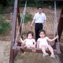 동네음식점 이미지