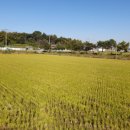 매향보건진료소 이미지